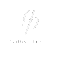 logo white tansparent